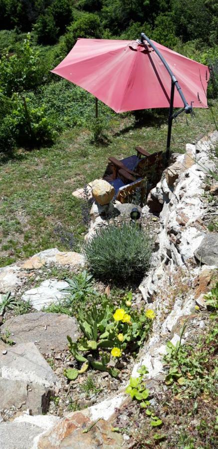 Gites Chez Daniel "Cevennes 1" Mars  Экстерьер фото